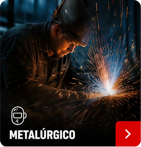 Segmento Metalúrgico